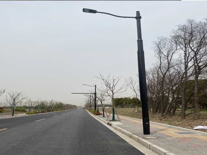 乐陵市上海综合杆 太阳能路灯工程